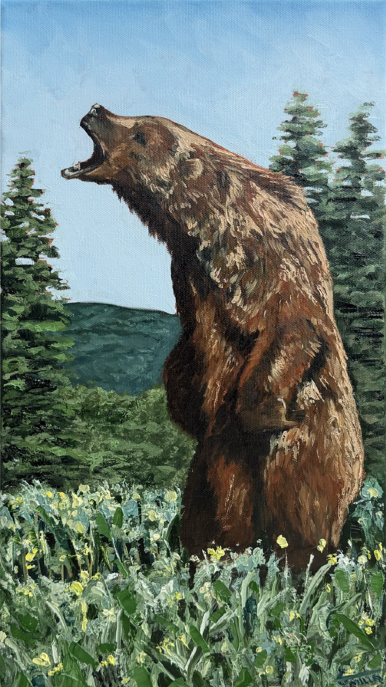 Bear