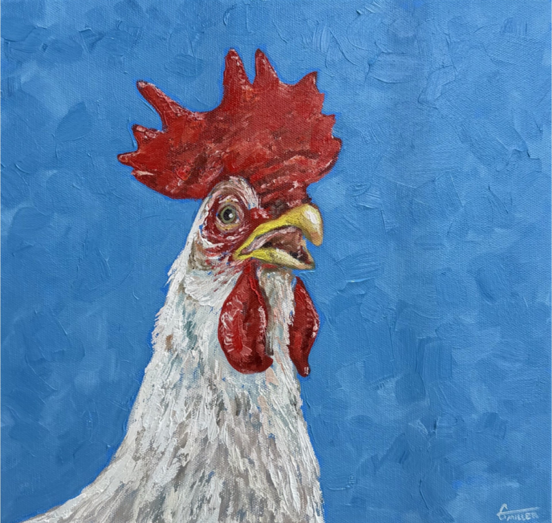 Rooster