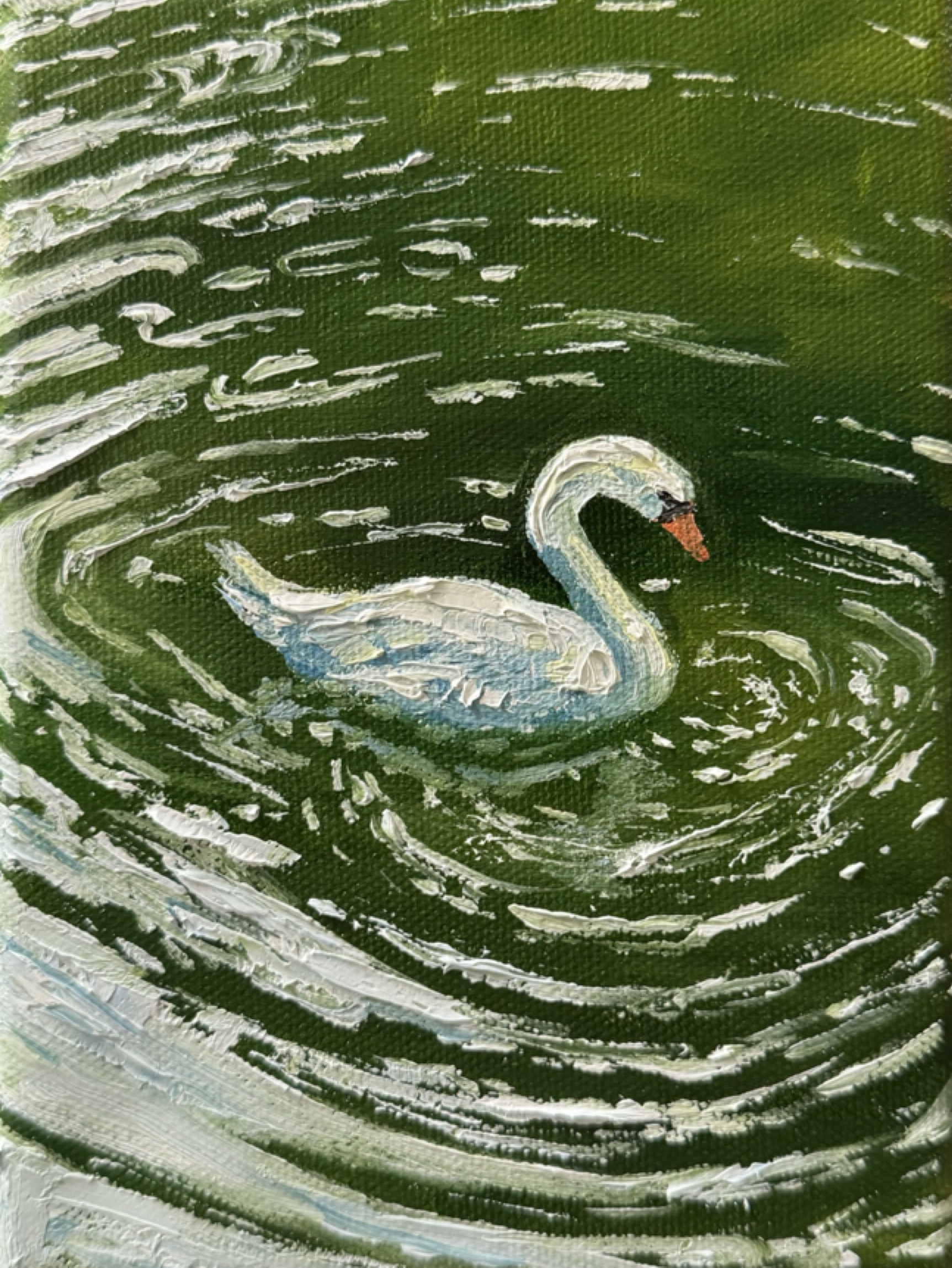 Swan